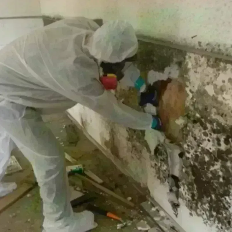 Mold Remediation and Removal in Oxford County, ME